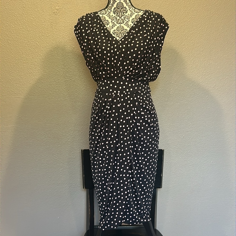 NWT Gorgeous & Flattering Suzi Chin Dress size 4